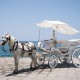 Carriage-Ride-Incentive-Travel