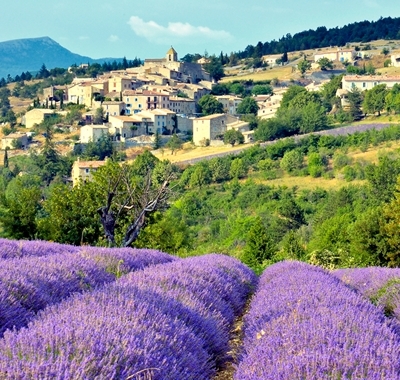 A hillside village with a lavender field in Provence, France.